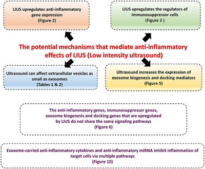 Low-Intensity Ultrasound-Induced Anti-inflammatory Effects Are Mediated by Several New Mechanisms Including Gene Induction, Immunosuppressor Cell Promotion, and Enhancement of Exosome Biogenesis and Docking